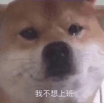 打工人表情包大全分享