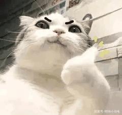 拼苹果12名媛语录大全