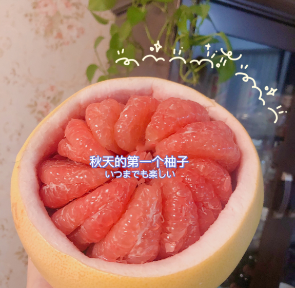 秋天的第一个柚子图片分享