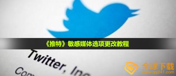 《推特》敏感媒体选项更改教程