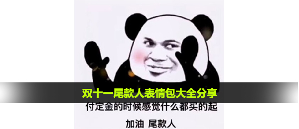 双十一尾款人表情包大全分享