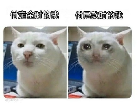 双十一尾款人表情包大全分享