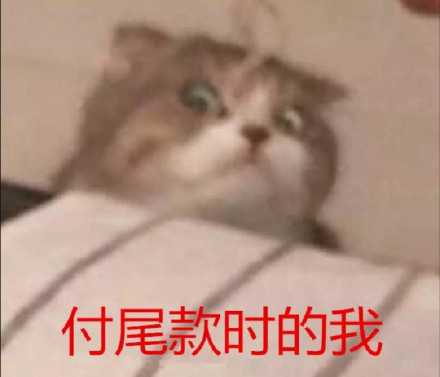 双十一尾款人表情包大全分享