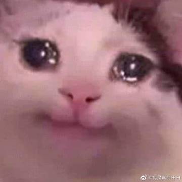 双十一尾款人表情包大全分享