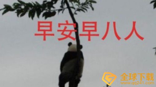 早八人发朋友圈搞笑语录大全分享