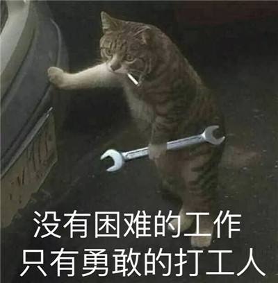《抖音》打工人打工魂打工都是人上人专属表情包大全