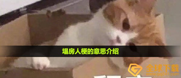 塌房人梗的意思介绍