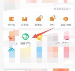 《芭芭农场》10元红包使用教程