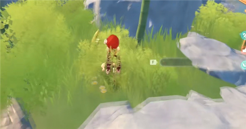 《原神》竹笋位置刷新点总览