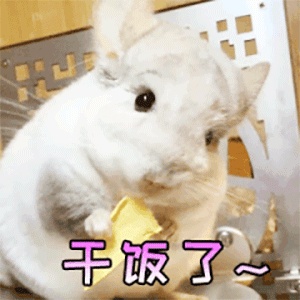 干饭人表情包大全分享