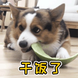 干饭人表情包大全分享