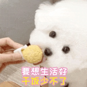 干饭人表情包大全分享