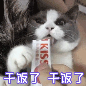 干饭人表情包大全分享