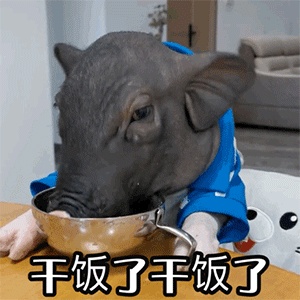 干饭人表情包大全分享