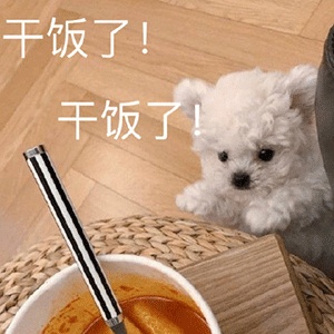 干饭人表情包大全分享