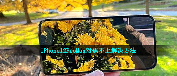 iPhone12ProMax对焦不上解决方法