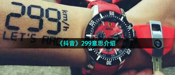 《抖音》299意思介绍