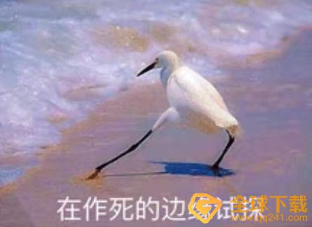 清华学姐梗的意思介绍