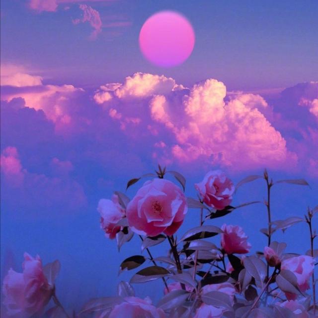 《抖音》有些日子眨眨眼一下子就过去了朋友圈图片与文案分享（多图）