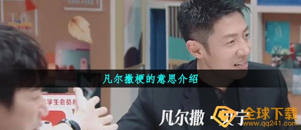 凡尔撒梗的意思介绍