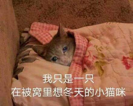 手脚冰凉的跟s了好几天样的 冬天别来了 没命过表情包大全分享