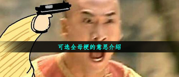 可选全母梗的意思介绍