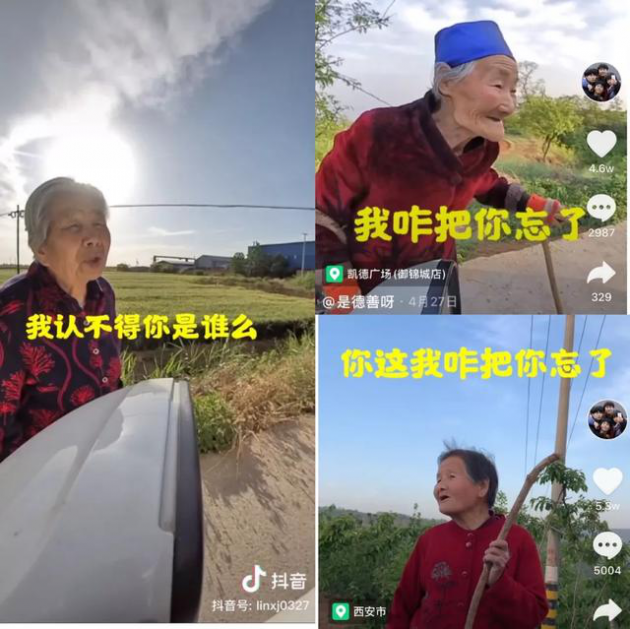 《抖音》是德善呀我是徐凯意思介绍