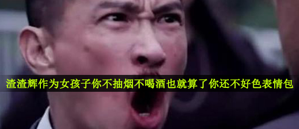 《抖音》渣渣辉作为女孩子你不抽烟不喝酒也就算了你还不好色GIF表情包分享