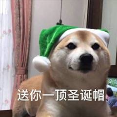 卖圣诞帽红的520绿的免费表情包分享