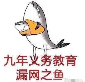 九漏鱼梗的意思介绍