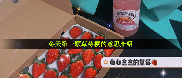 冬天第一颗草莓梗的意思介绍