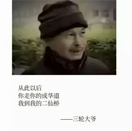 到二仙桥走成华大道大爷表情包大全分享