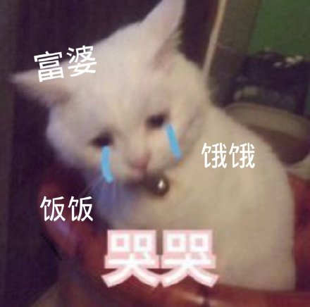 饿饿饭饭最新热门表情包大全分享