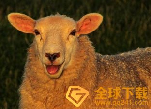 笑yue了梗的意思介绍