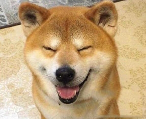 笑yue了梗的意思介绍