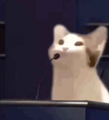 popcat啵嘴猫梗的意思介绍
