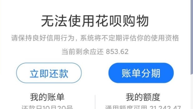 无法使用花呗购物原因分析