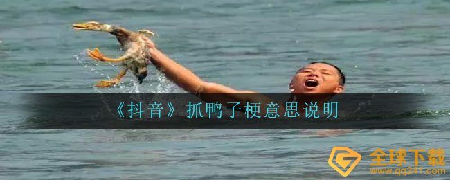 《抖音》抓鸭子梗意思说明