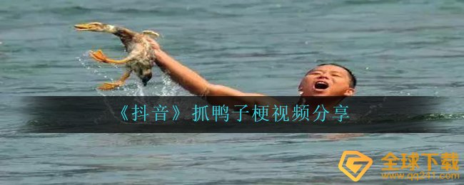 《抖音》抓鸭子梗视频分享