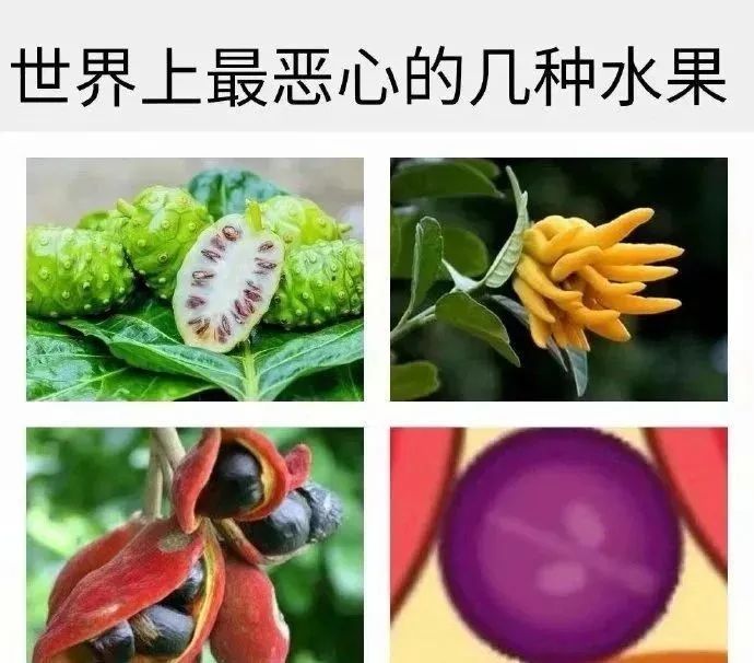 《微信》小游戏合成大西瓜表情包大全分享