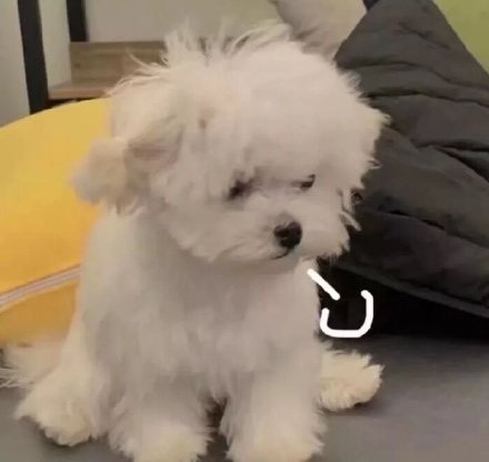 2021年《抖音》最热门的个性签名大全