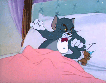 猫和老鼠表情包大全分享GIF动图