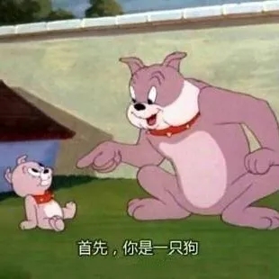 猫和老鼠表情包大全分享GIF动图