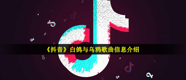 《抖音》白鸽与乌鸦歌曲信息介绍