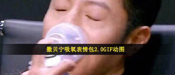 撒贝宁吸氧表情包2.0GIF动图
