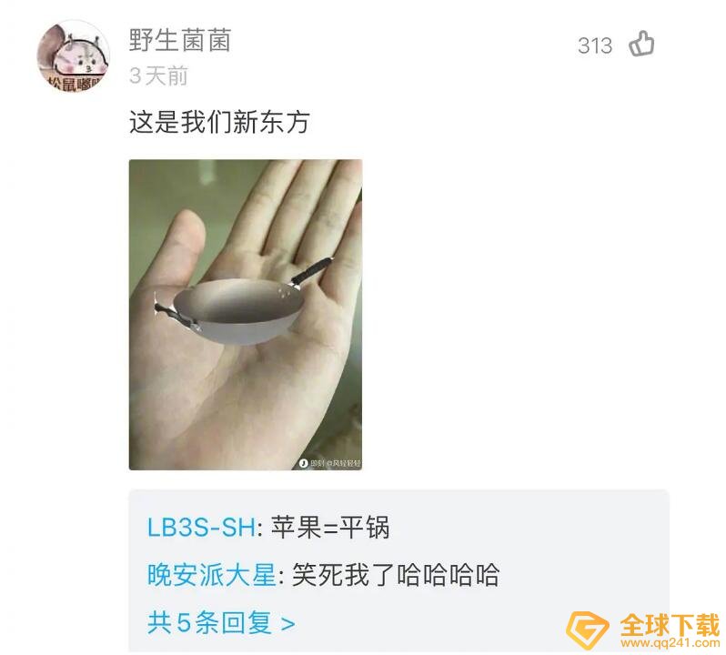 车厘子梗意思说明