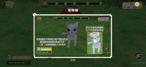 小森生活怎么养猫？小森生活猫咪领养方法
