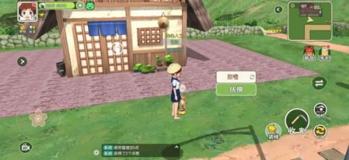 小森生活怎么养猫？小森生活猫咪领养方法