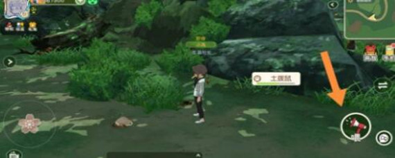 小森生活土拨鼠不出来了怎么办 小森生活土拨鼠不出来了怎么办-土拨鼠不出来了解决办法