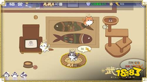 喂养萌喵领福利 新《武林外传手游》猫舍玩法上线